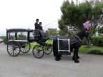 back carriage